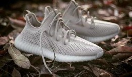 网红椰子爆料视频大全,揭秘幕后真相与热门话题